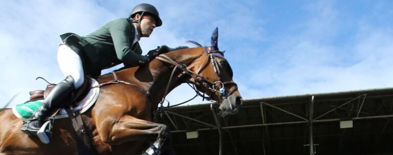 dublin-horse-show